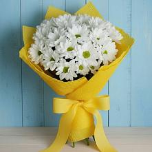 Букет цветов из:  Хризантемы в Ахтубинске
