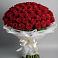 Букет 101 Красная роза Блэк Мэджик в Ахтубинске