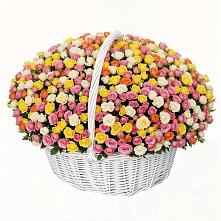 Премиум букет из: Розы в Ахтубинске