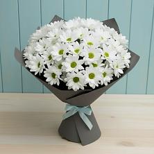 Букет цветов из:  Хризантемы в Ахтубинске