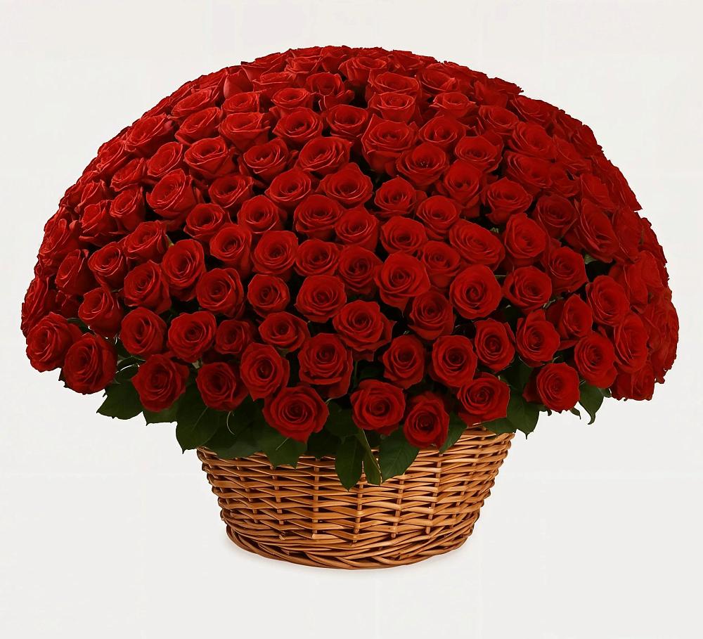 Премиум букет из: Розы в Ахтубинске