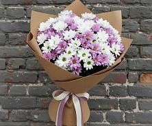 Букет цветов из:  Хризантемы в Ахтубинске