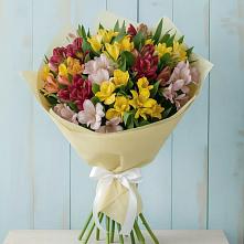 Букет цветов из:  Альстромерии в Ахтубинске