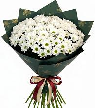 Букет цветов из:  Хризантемы в Ахтубинске