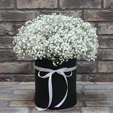 Цветочная композиция из Гипсофила в шляпной коробке в Ахтубинске